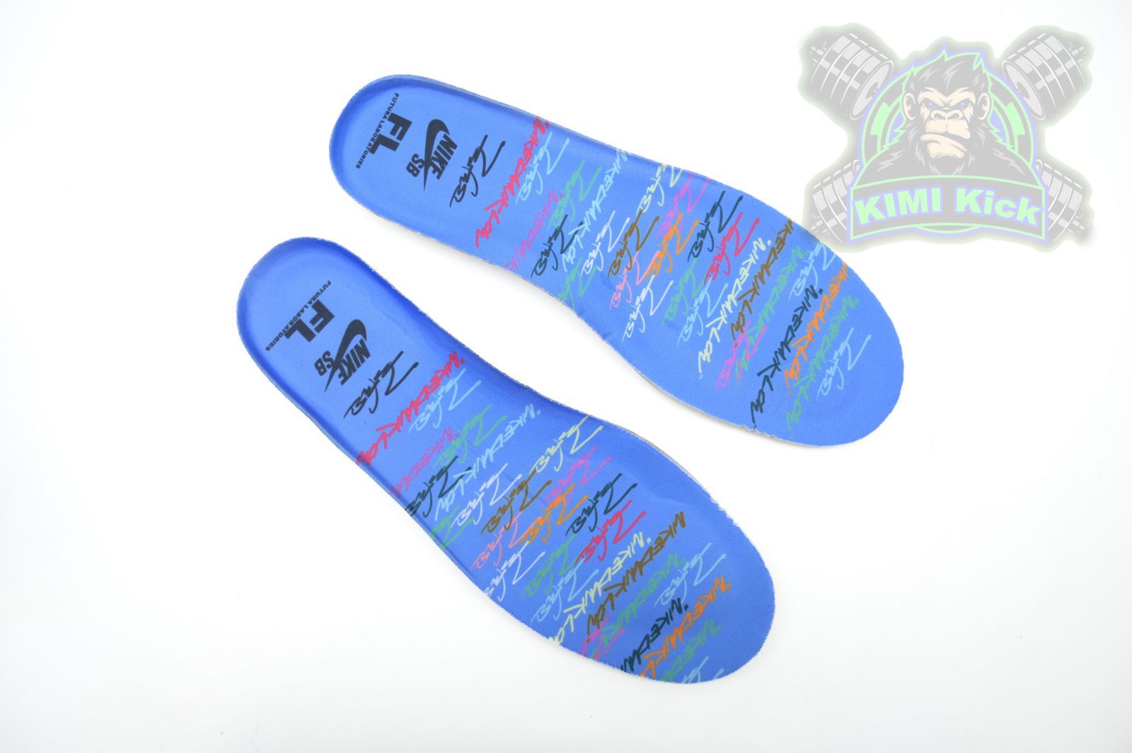 Futura Laboratories x Nike Dunk SB