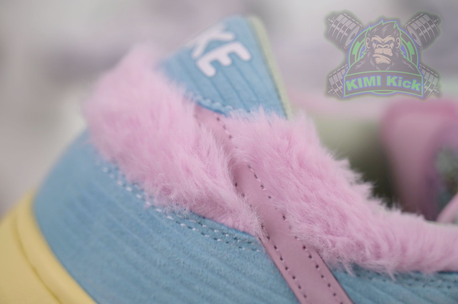 Verdy x Nike Dunk SB