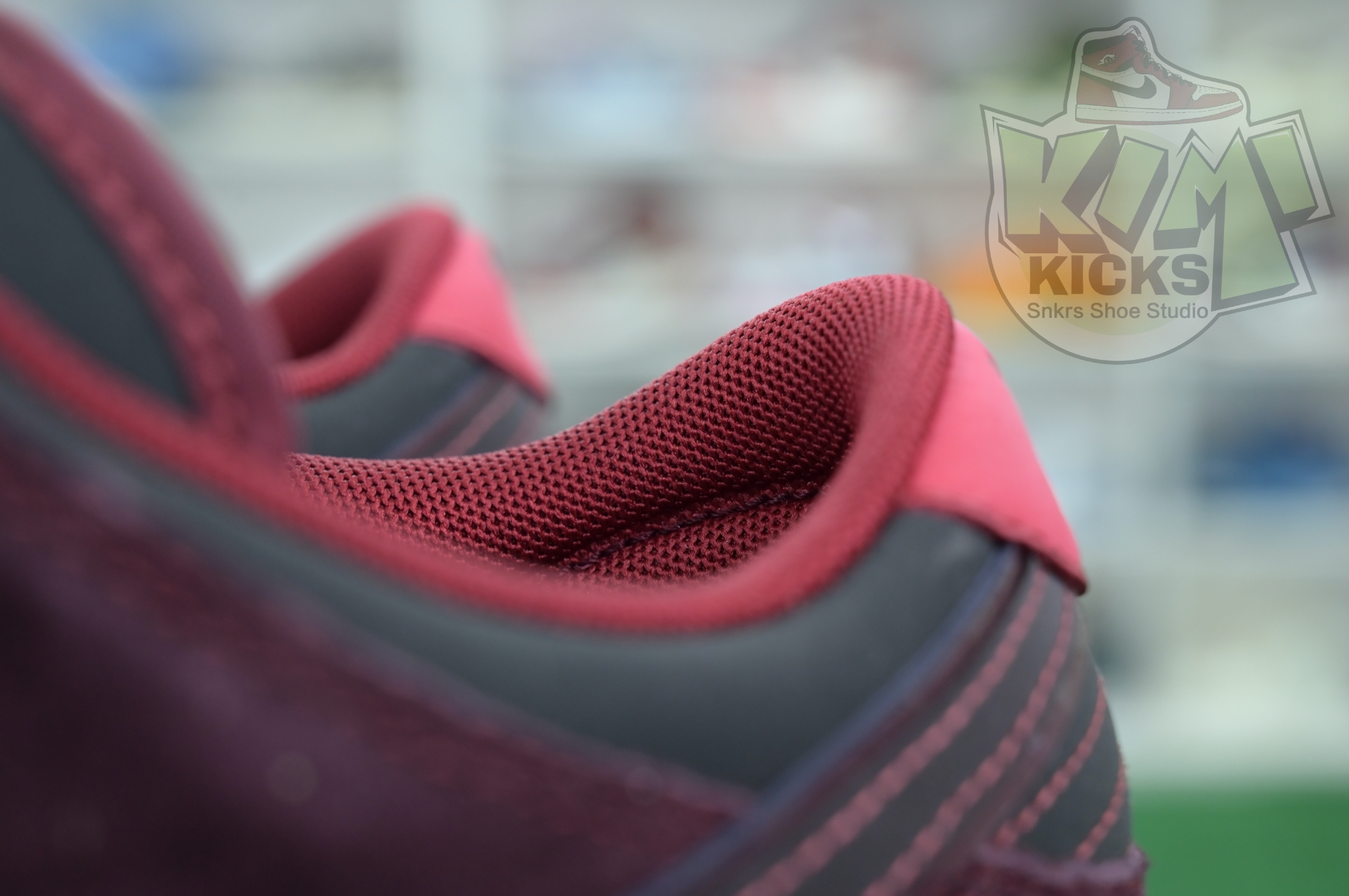 RIOT Skateshop x Nike SB Dunk Low