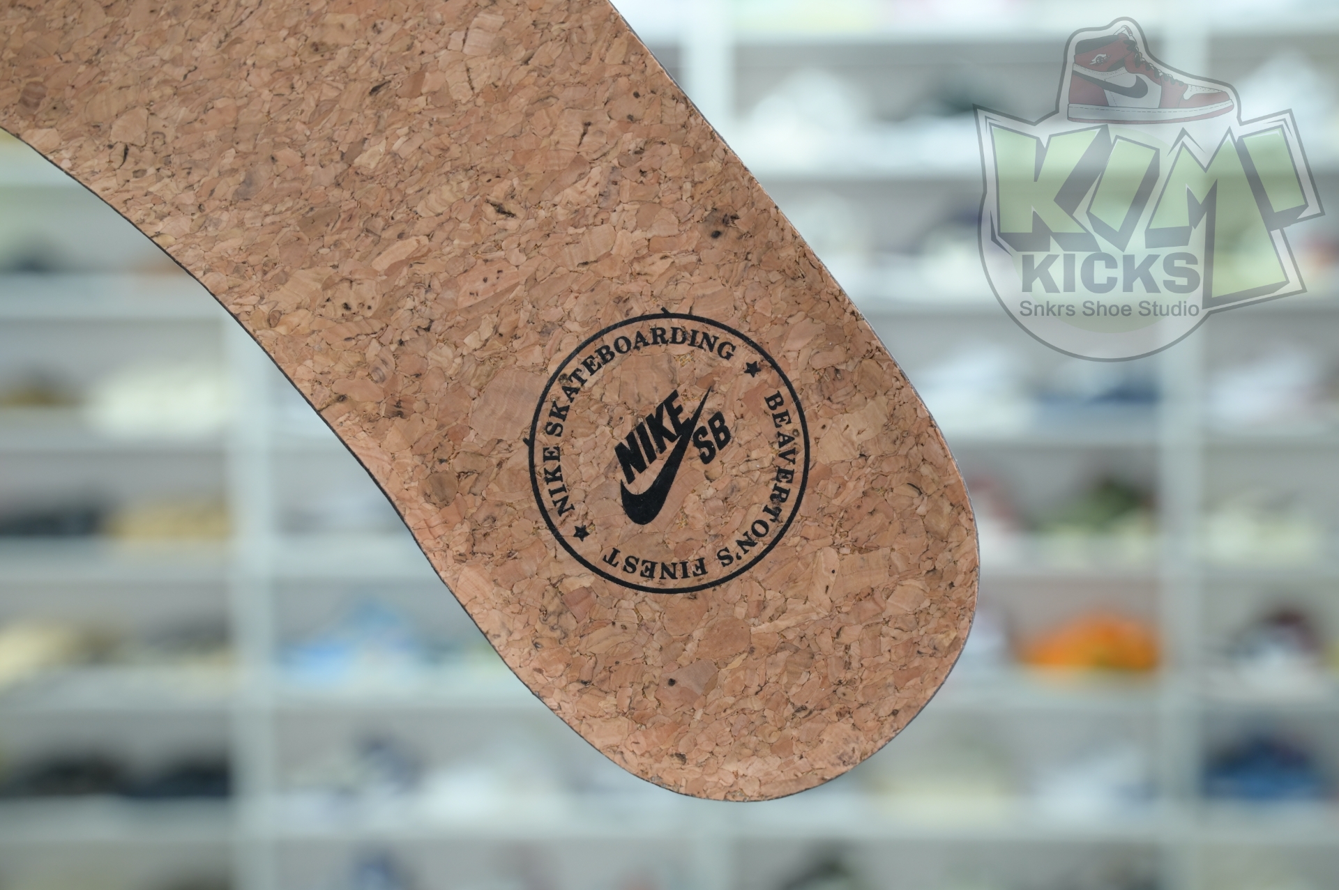 RIOT Skateshop x Nike SB Dunk Low