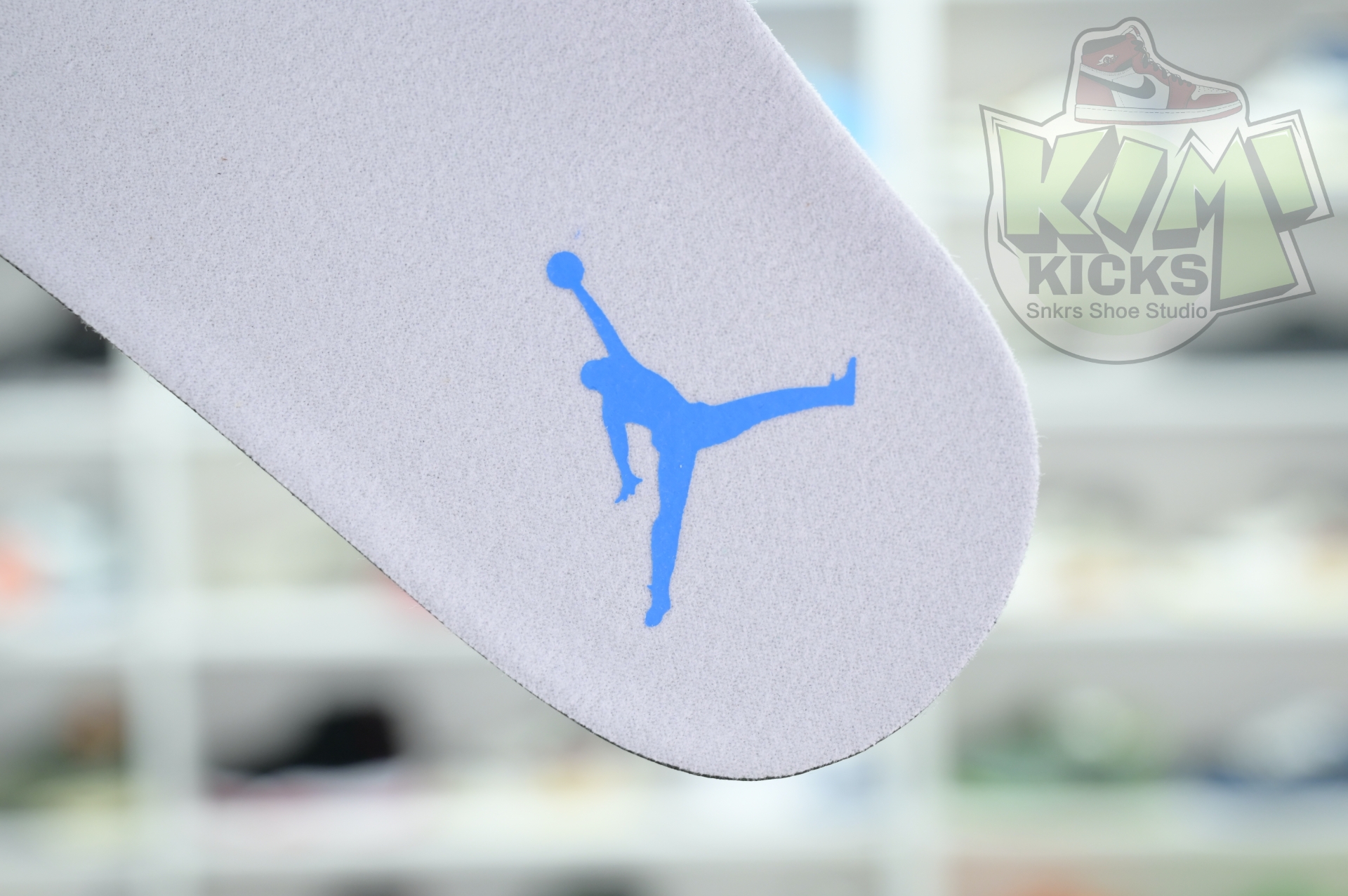 Jordan Air Jordan 3“Lucky Shorts”