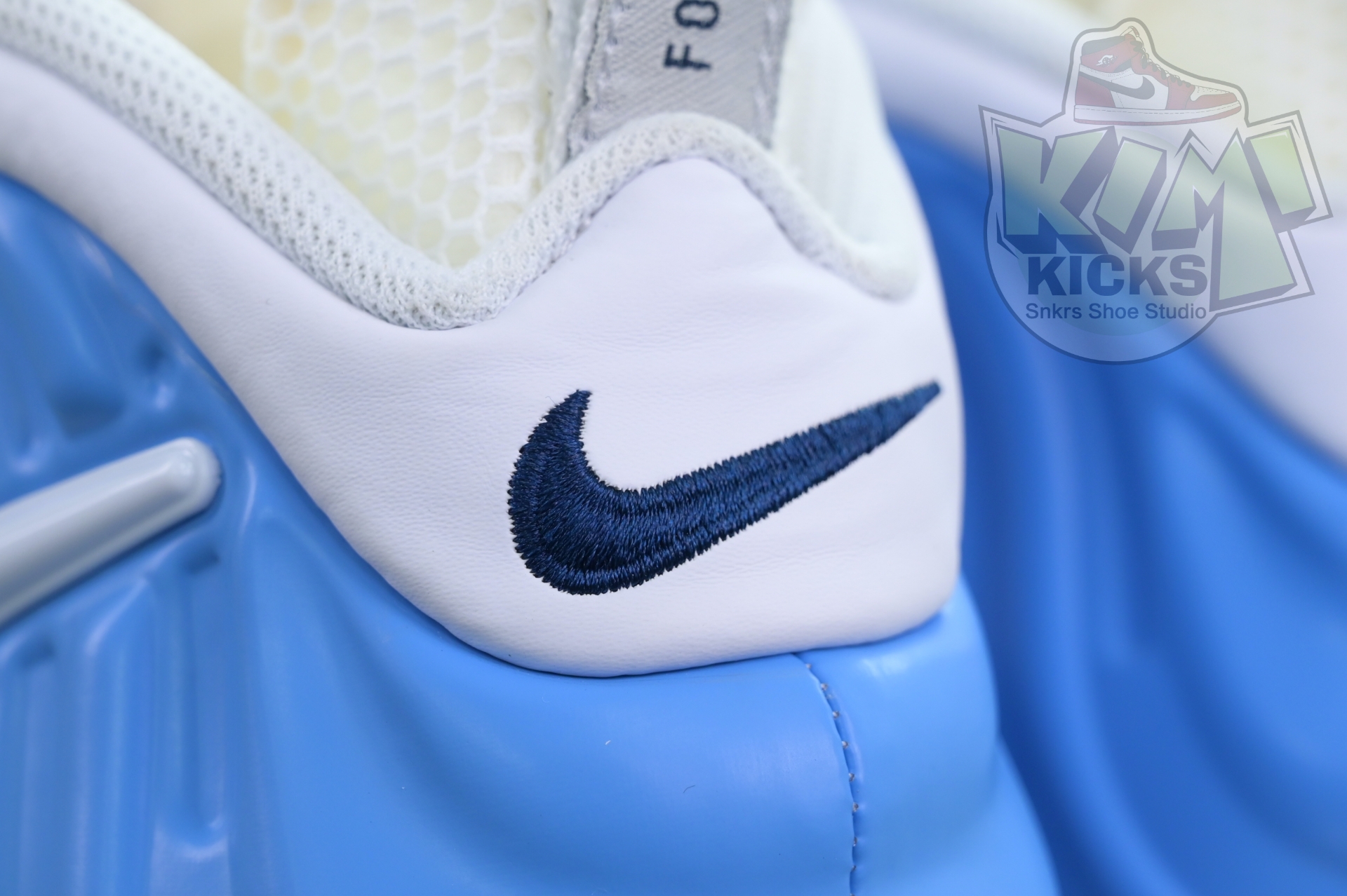 Nike Foamposite Pro University Blue