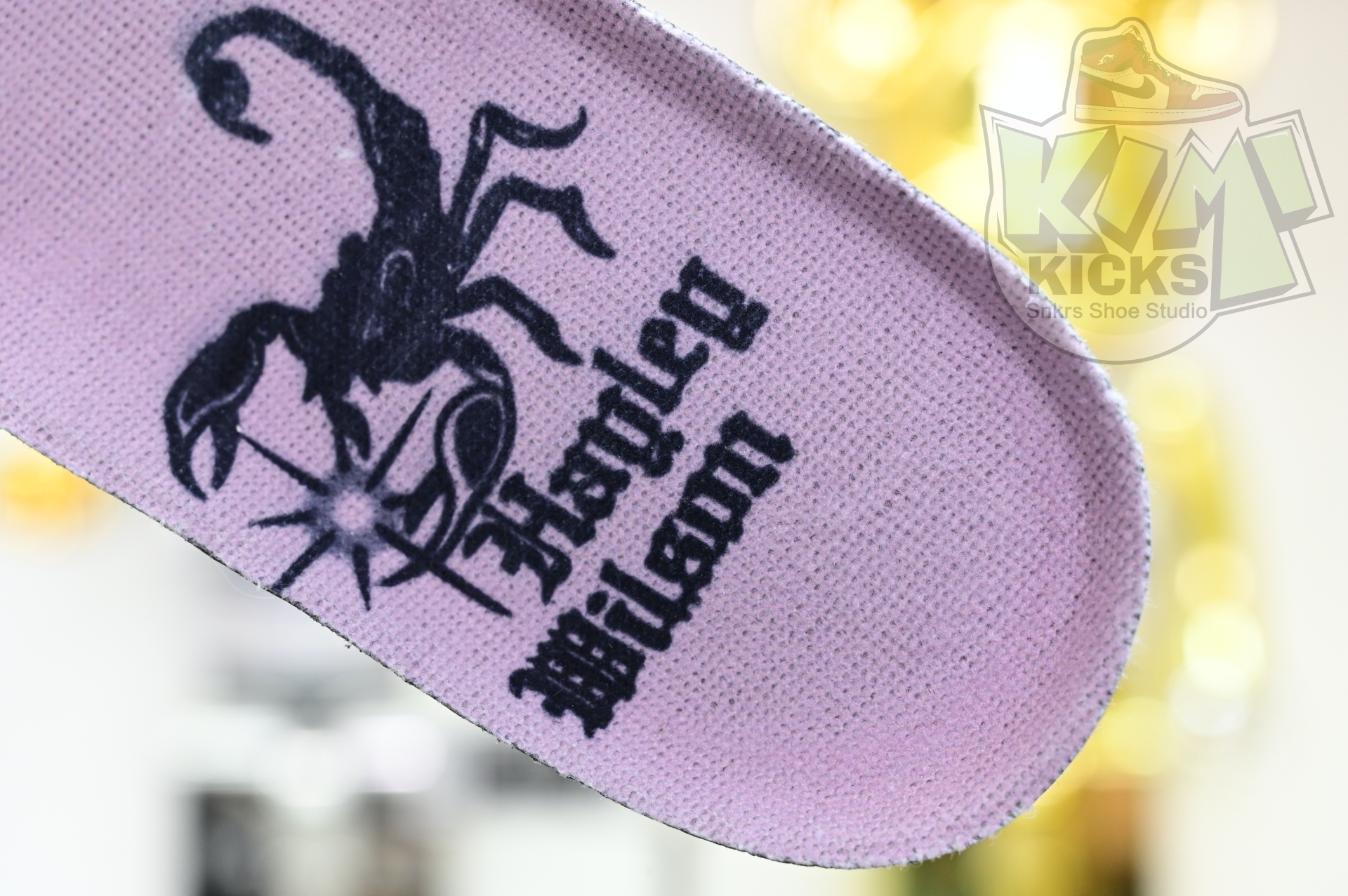 Hayley Wilson x Nike Dunk SB DUNK LOW PRO  HJ0513-500