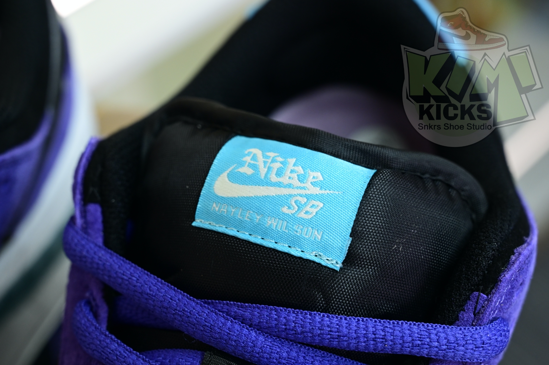 Hayley Wilson x Nike Dunk SB DUNK LOW PRO  HJ0513-500