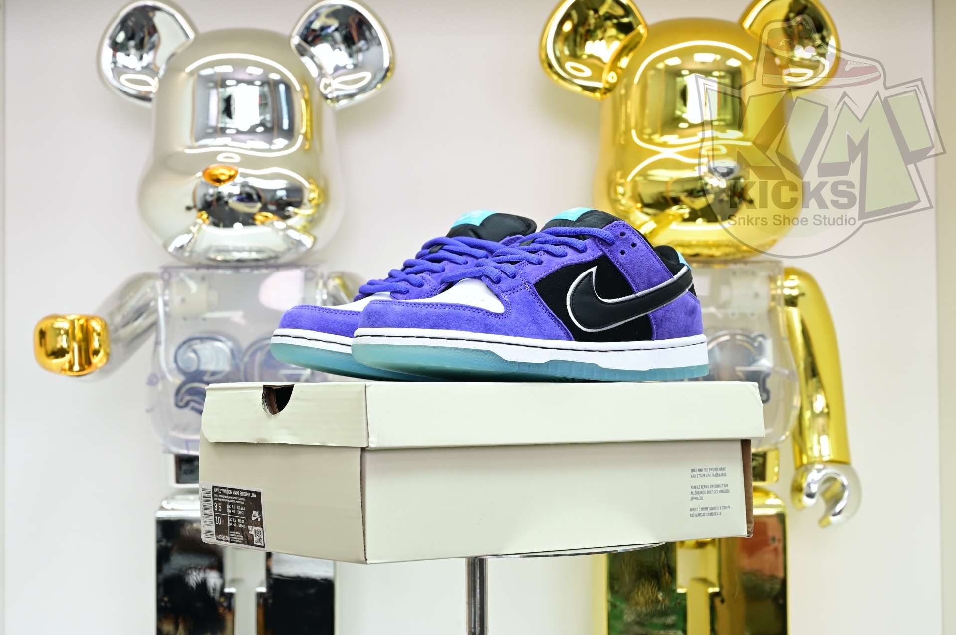 Hayley Wilson x Nike Dunk SB DUNK LOW PRO  HJ0513-500