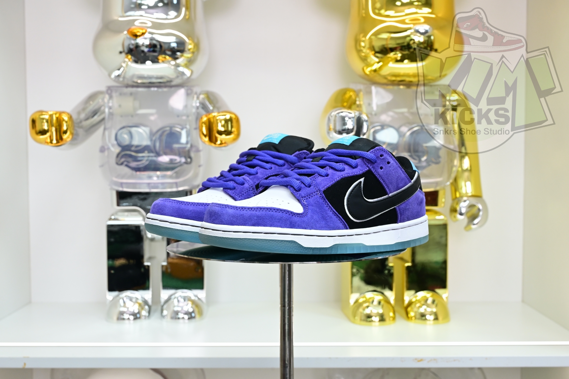 Hayley Wilson x Nike Dunk SB DUNK LOW PRO  HJ0513-500