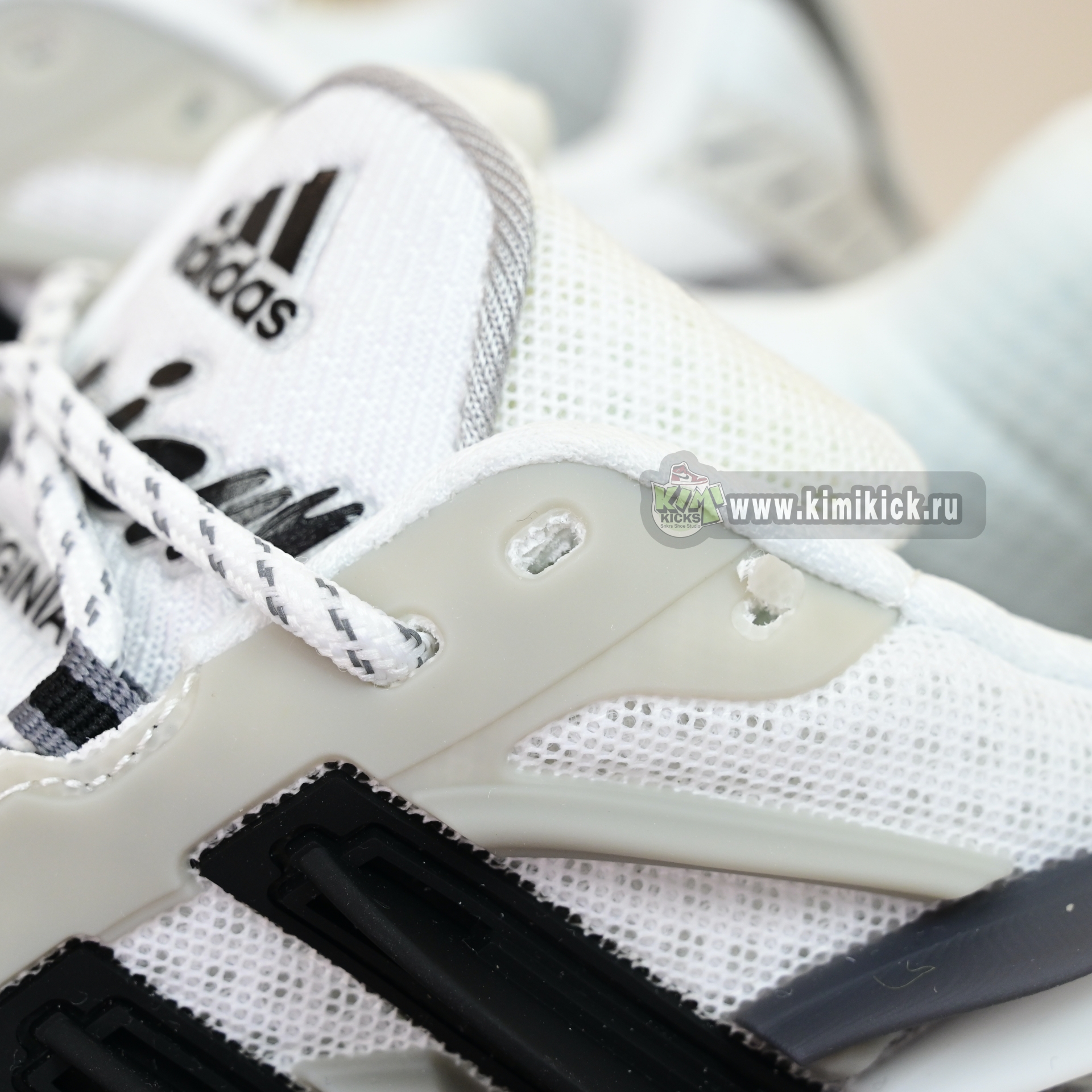 Pharrell x adidas Adistar Jellyhsh  JP9262