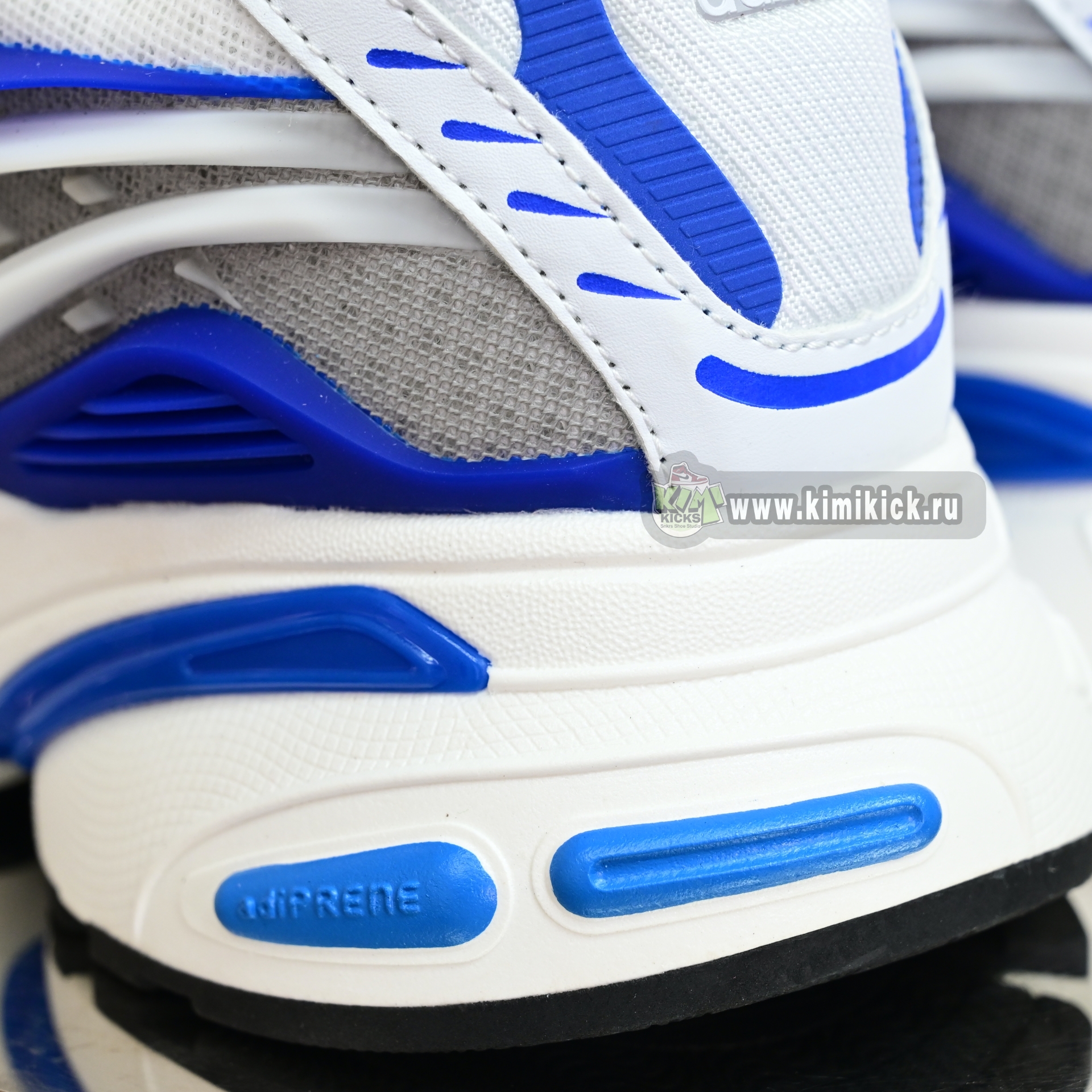 Pharrell x adidas Adistar Jellyhsh JP9263