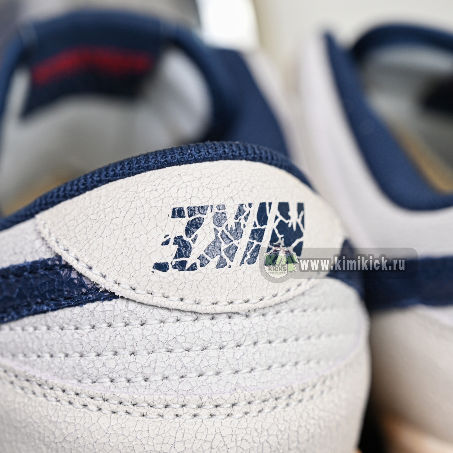 Nike x Stranger Things Dunk LowSP  IH6766-001