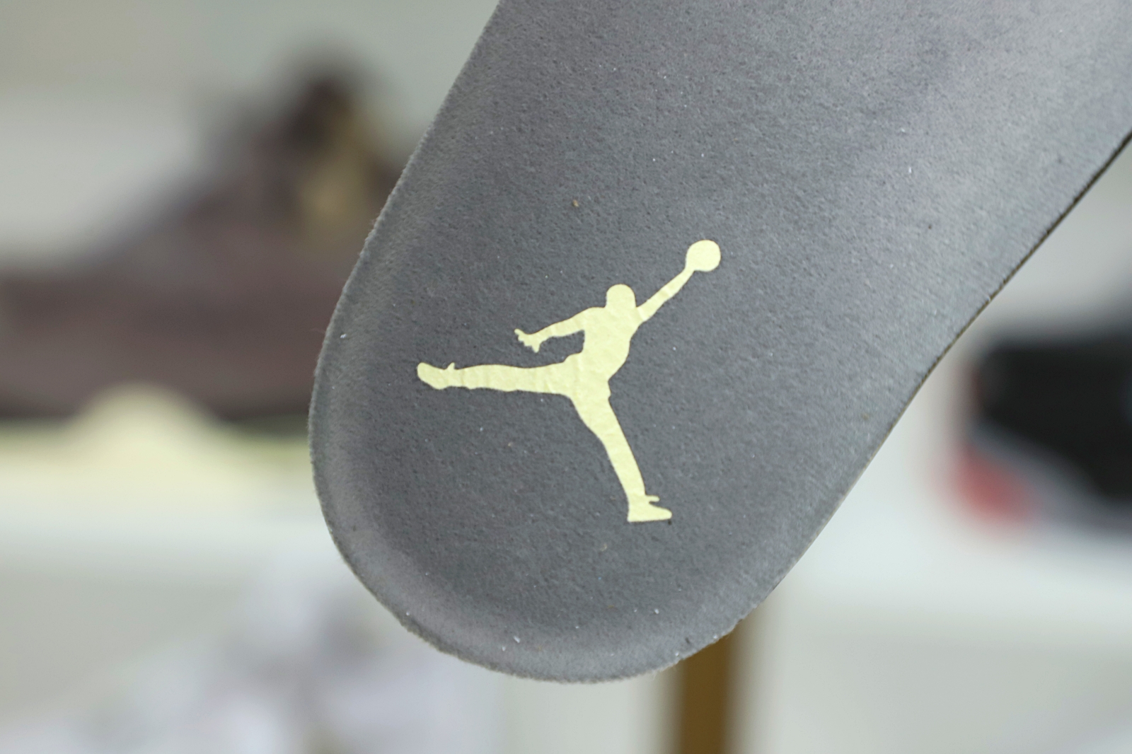 Jordan Air Jordan 4 SE