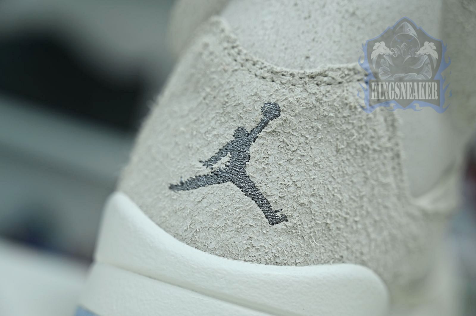 Jordan Air Jordan5 SE
