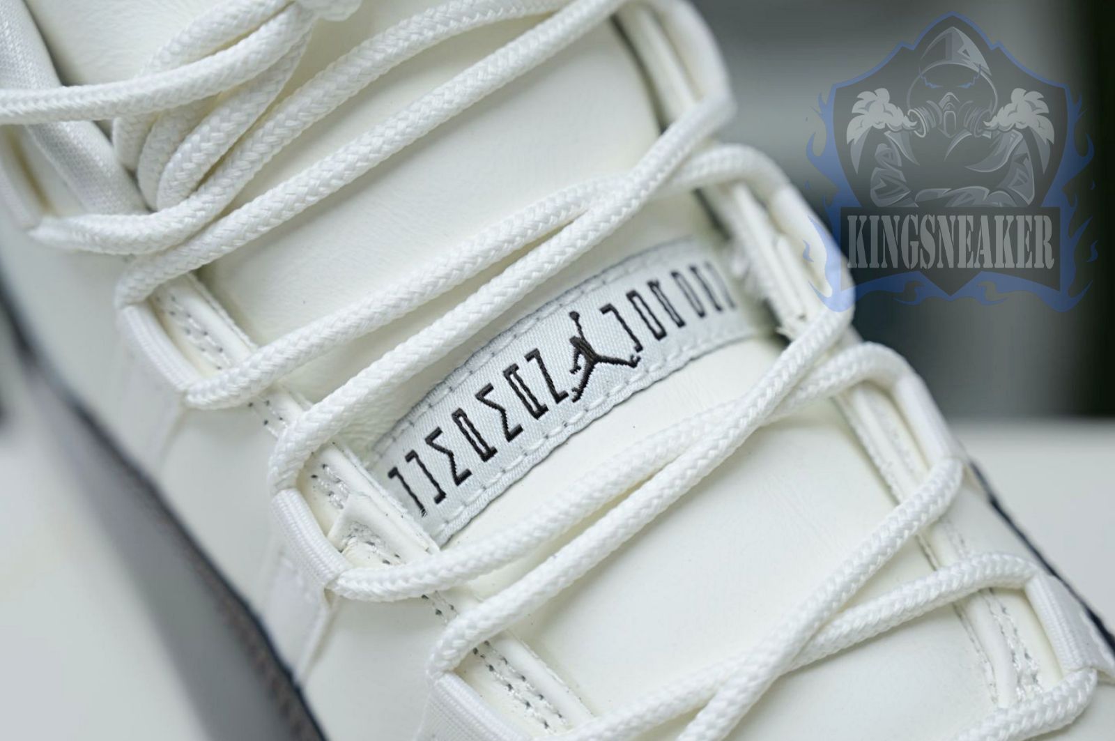 Air Jordan 11