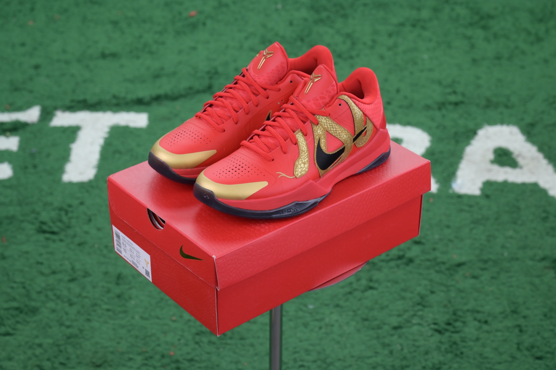 Nike Kobe 5 Protro“Year of the Mamba”