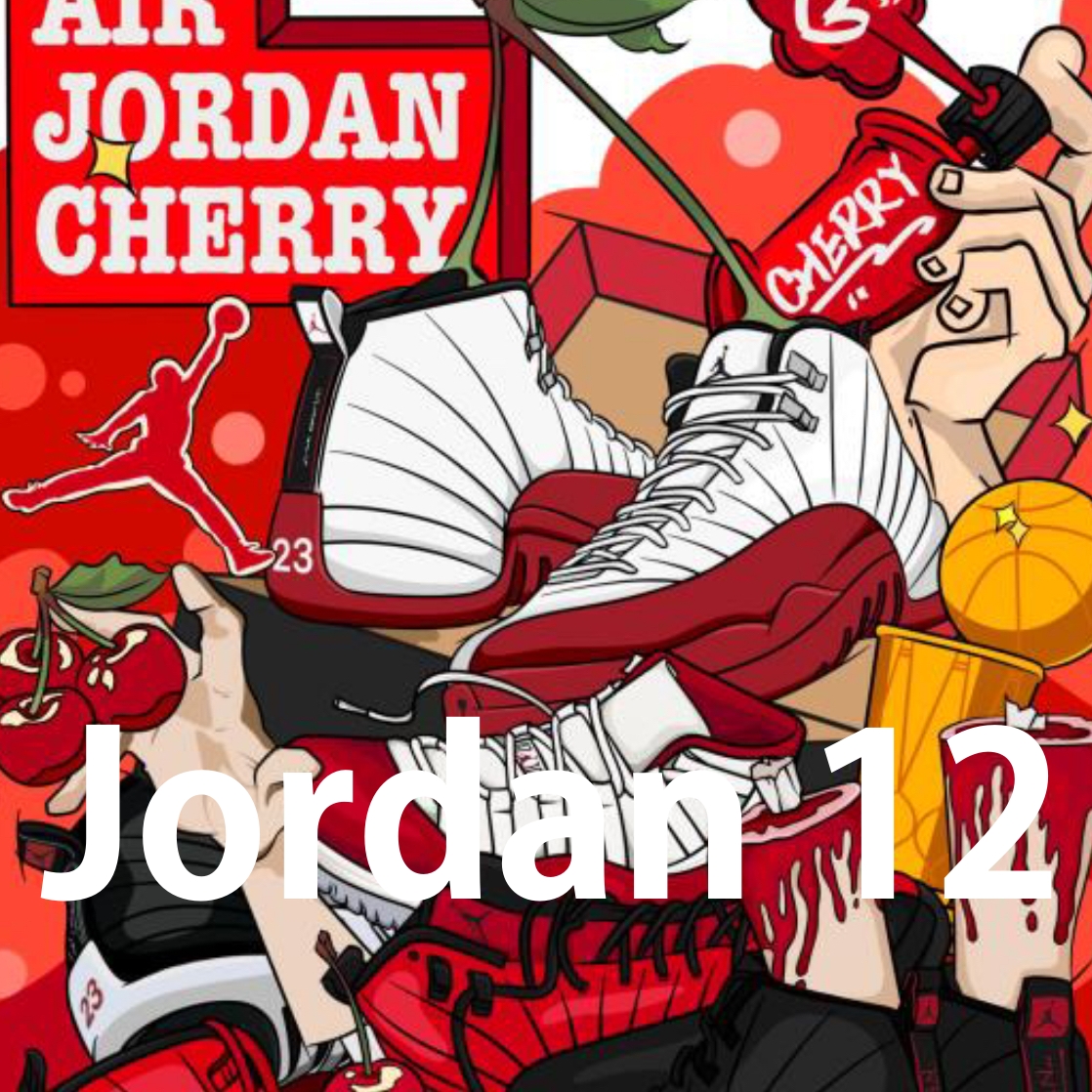 Air Jordan 12
