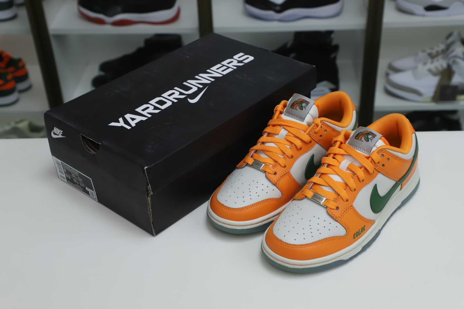Nike Dunk Low  Florida A&M x