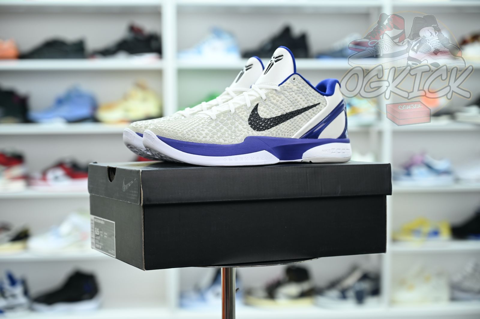 Nike Zoom Kobe 6Concord