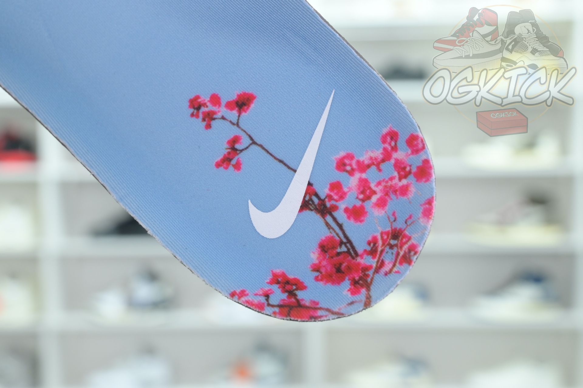 Nike AIR FOAMPOSITE One“DMV”